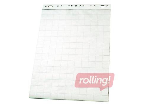 Flipchart pad Esselte, squared, 60x85cm, 50sheets