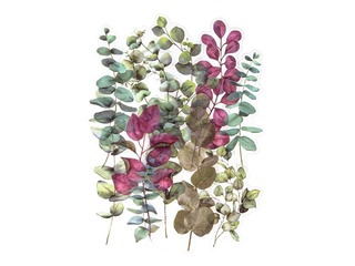 Kleebised Galeria Papieru Barberries