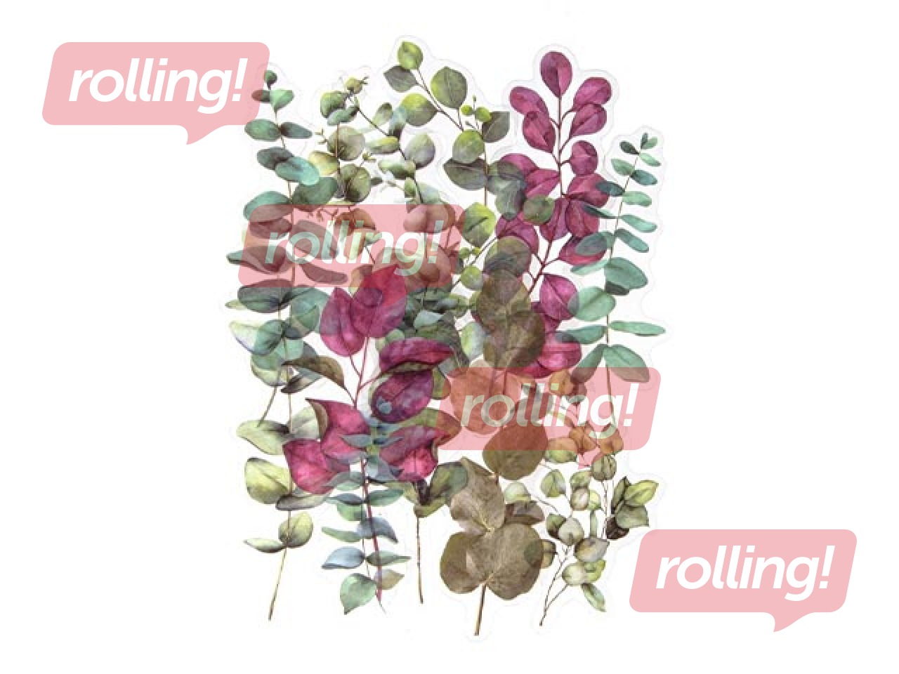 Kleebised Galeria Papieru Barberries