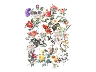 Kleebised Galeria Papieru Summer Garden