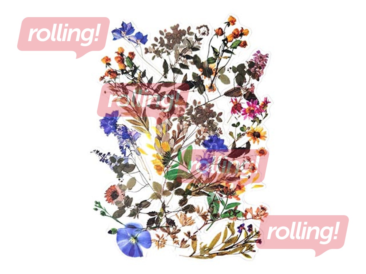 Kleebised Galeria Papieru Field Flowers