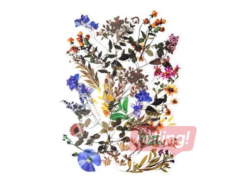 Наклейки Galeria Papieru Field Flowers