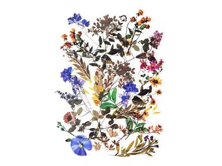 Stickers Galeria Papieru Field Flowers
