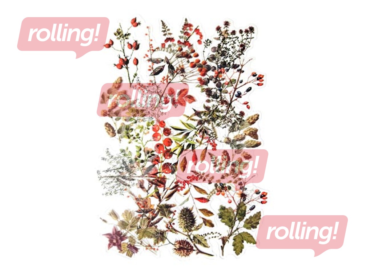 Kleebised Galeria Papieru Treasures of the Forest