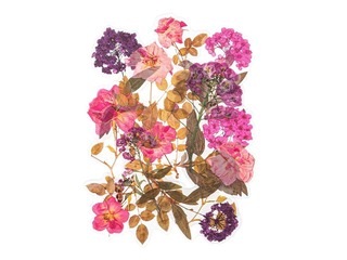 Uzlīmes Galeria Papieru Hydrangeas and Roses