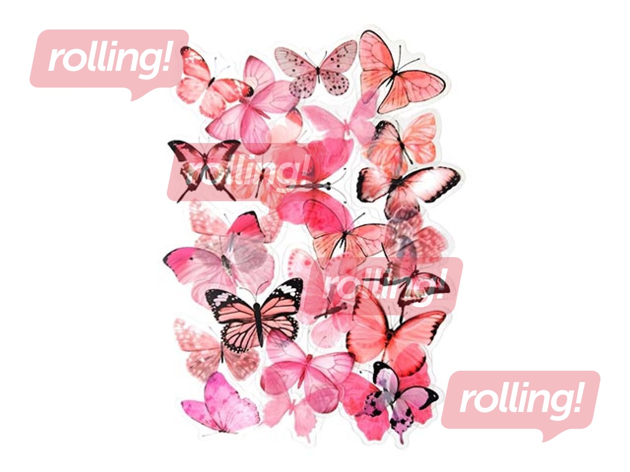 Kleebised Galeria Papieru Pink Butterflies