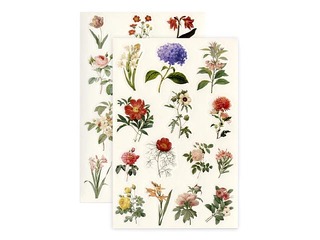 Kleebised Galeria Papieru Summer Flowers, 4 lehte