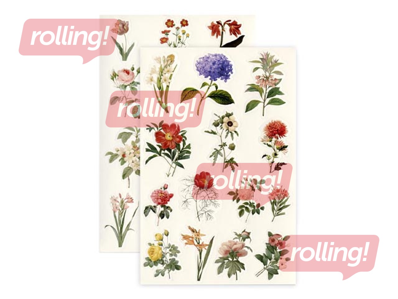 Uzlīmes Galeria Papieru Summer Flowers, 4 lapas