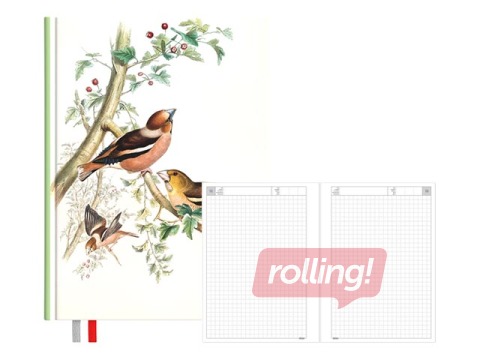 Diary - notebook, 134 x 184 mm, Birds