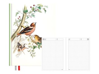 Diary - notebook, 134 x 184 mm, Birds