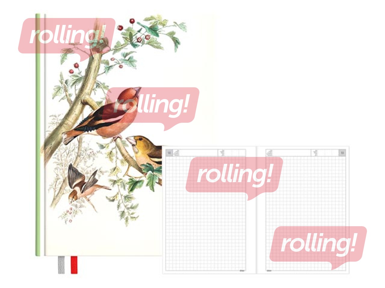 Diary - notebook, 134 x 184 mm, Birds