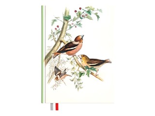 Diary - notebook, 134 x 184 mm, Birds
