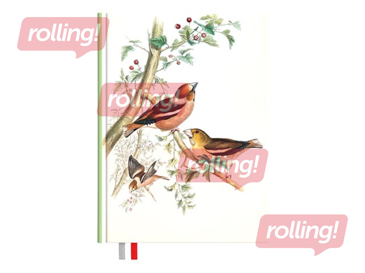 Diary - notebook, 134 x 184 mm, Birds
