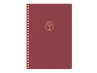 Diary - notebook, Tempo Cardboard, red