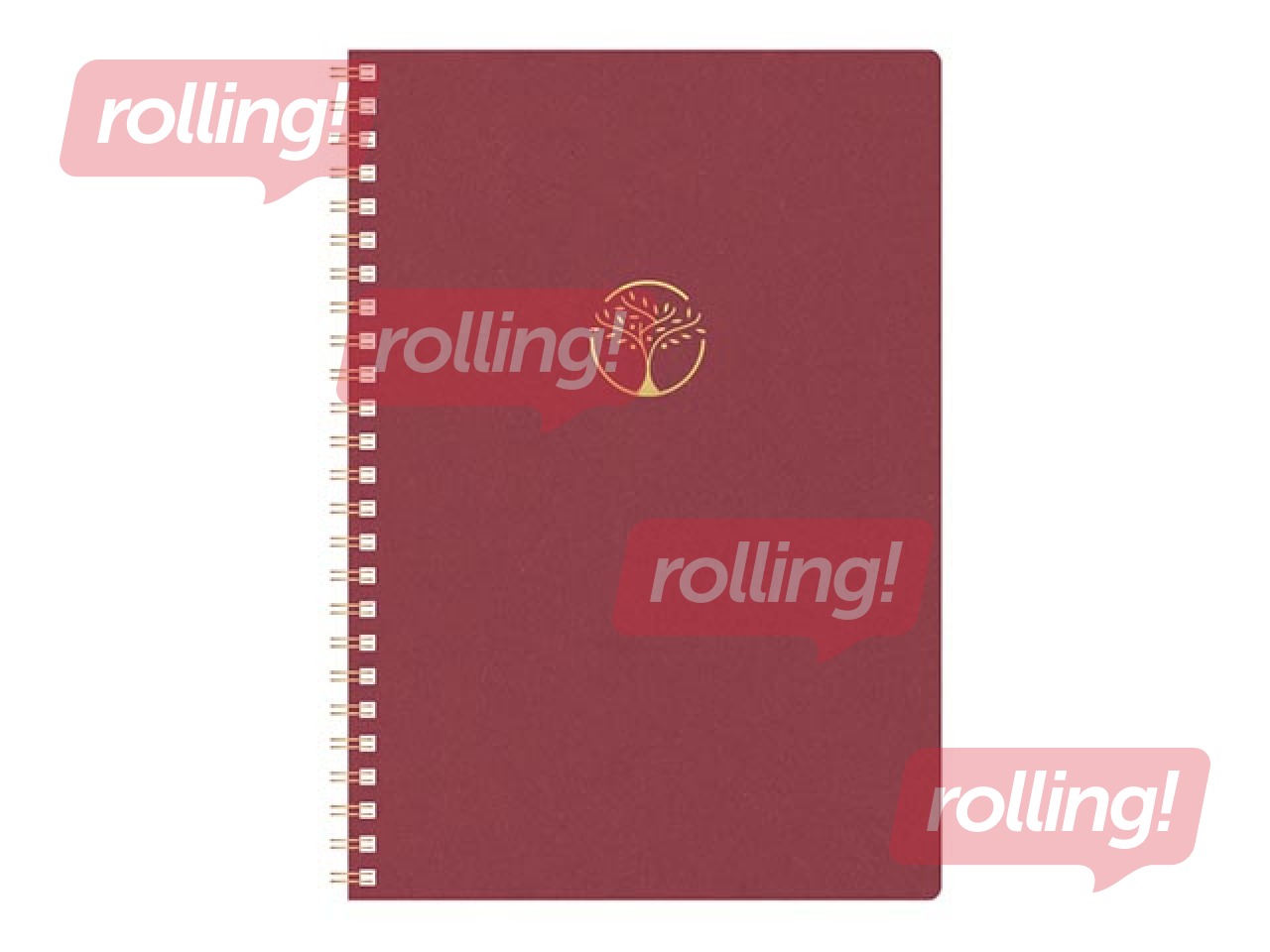 Diary - notebook, Tempo Cardboard, red