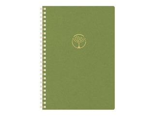 Diary - notebook, Tempo Cardboard, light green
