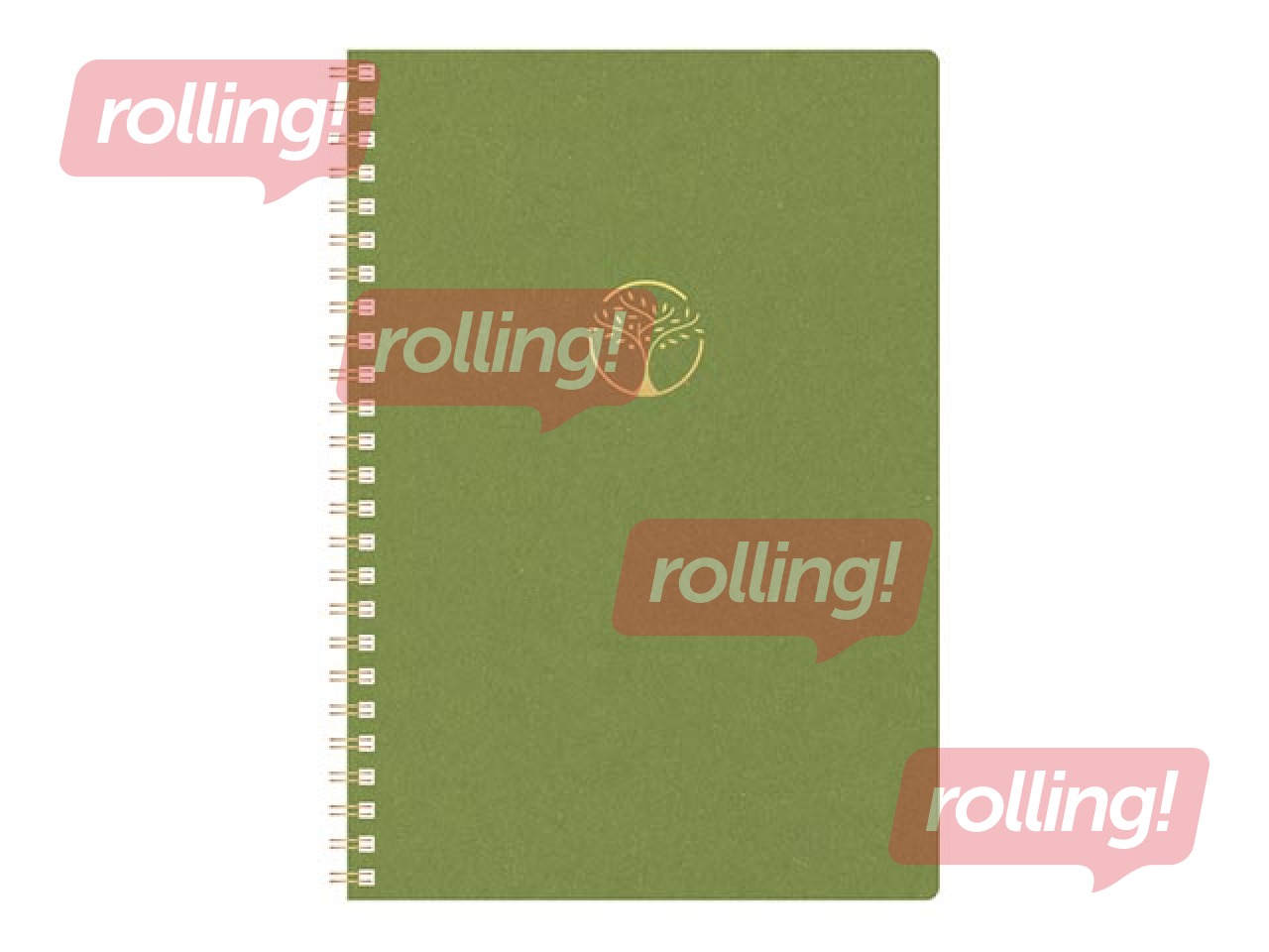 Diary - notebook, Tempo Cardboard, light green