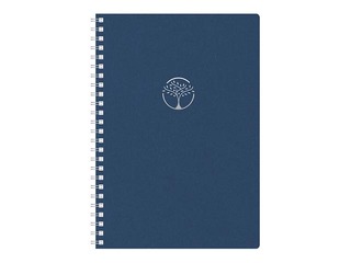Diary - notebook, Tempo Cardboard, blue