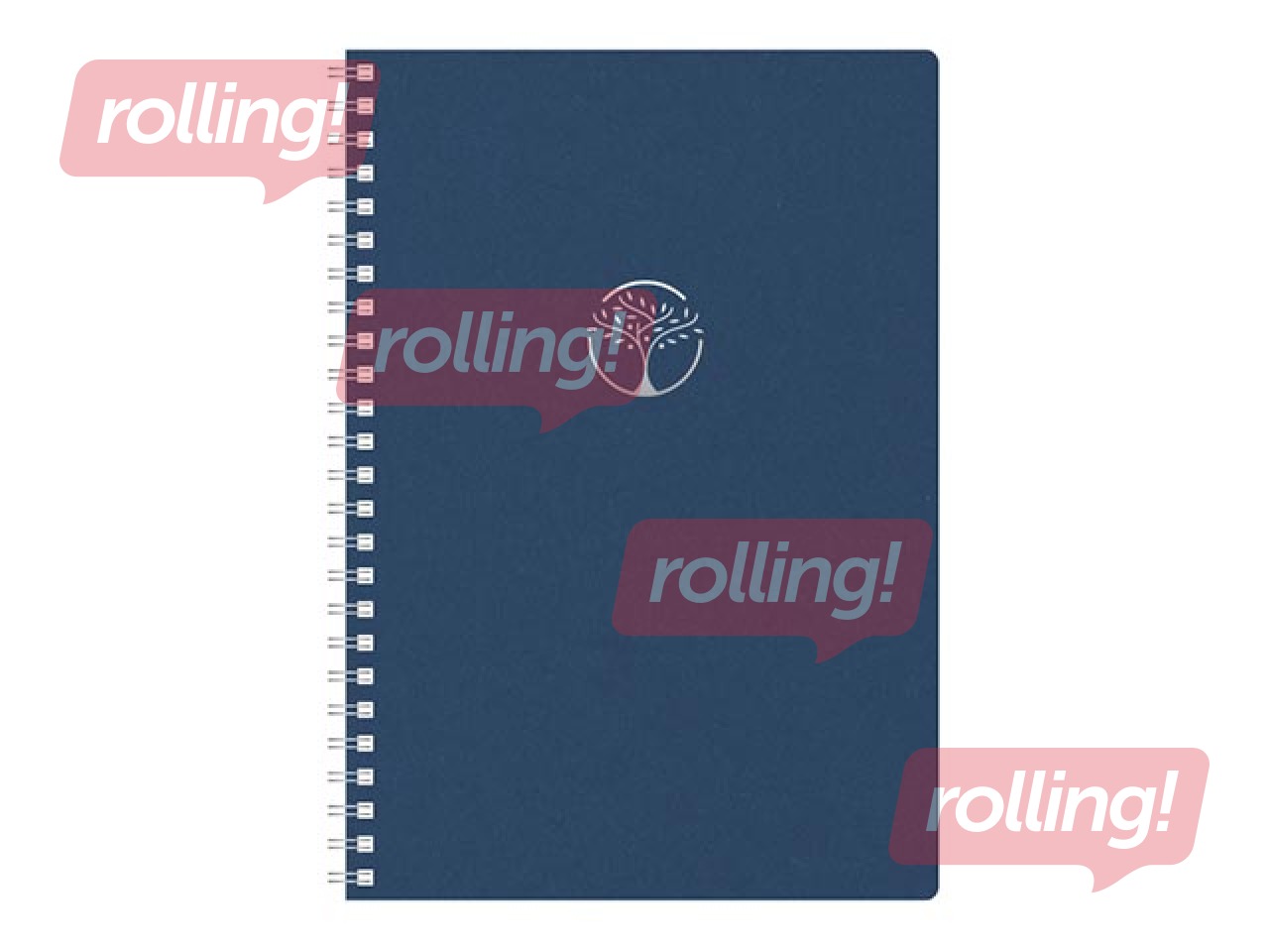 Diary - notebook, Tempo Cardboard, blue