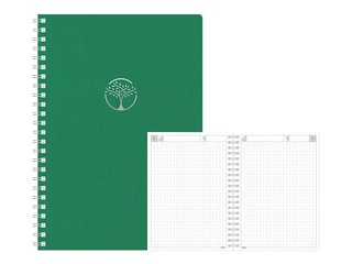 Diary - notebook, Tempo Cardboard, green
