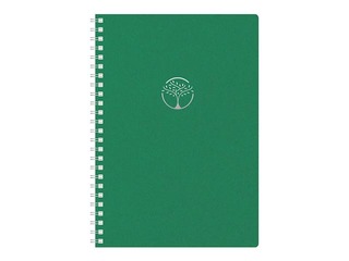Diary - notebook, Tempo Cardboard, green