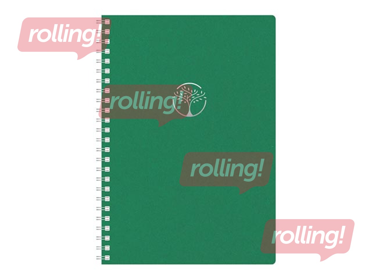 Diary - notebook, Tempo Cardboard, green