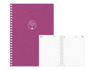 Diary - notebook, Tempo Cardboard, pink
