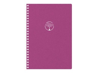 Diary - notebook, Tempo Cardboard, pink