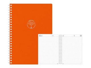 Dienasgrāmata - piezīmju bloks, Tempo Cardboard, rūtiņu, oranža