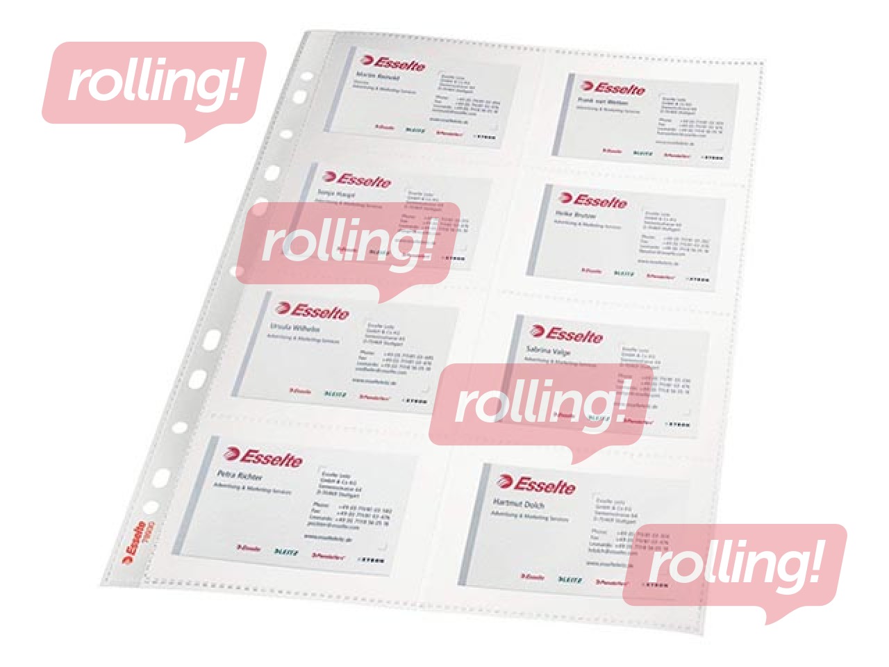 Кармашки ля визитных карточек Essselte, A4, глянцевые, 105 мик, 10 шт.