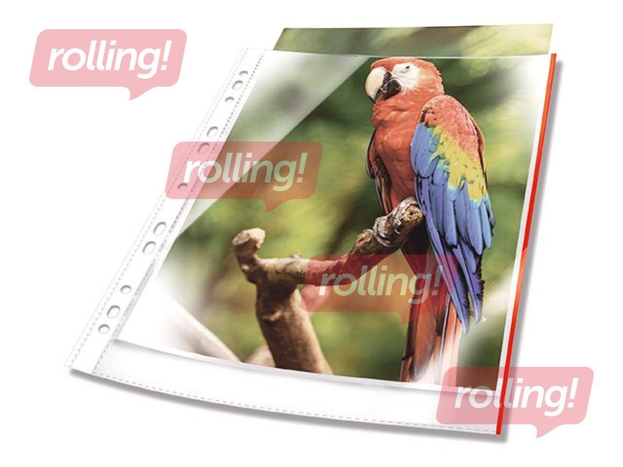 Document pockets Durable, A4 with red edge, 25 pcs.