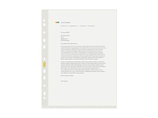 Punched pockets recycled PE, Elba, A4, 80 mic., 50 pcs