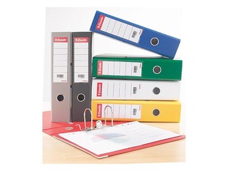 Vahetatav silt registraatorile Esselte LAF 75mm, kott/100