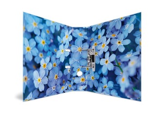 Folder register with floral print, A4, 70mm