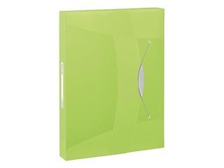 Box File Esselte Vivida, A4, 40 mm, translucent, green