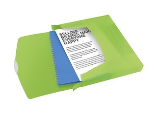 Папка-бокс Esselte VIVIDA, A4, 40 мм, зеленая