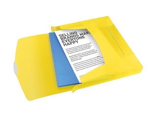 Dokumendimapp Esselte VIVIDA, 40mm, plast, kollane