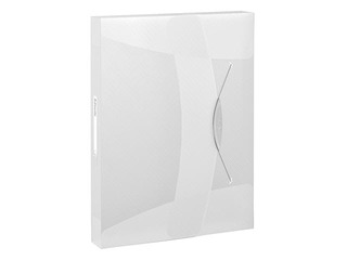 Box File Esselte Vivida, A4, 40 mm, translucent, white