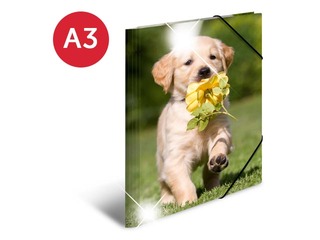 Folder with 3 flaps and rubbers Herma, A3, PP, glossy