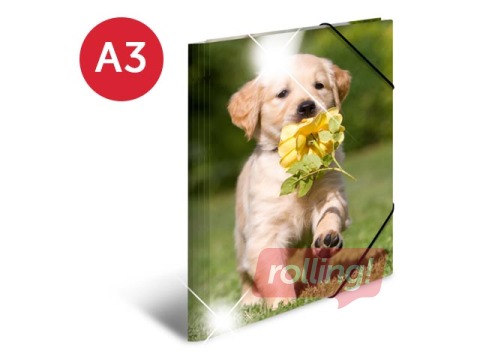 Kaust 3 klapi ja kummiga Herma, A3, PP, läikiv