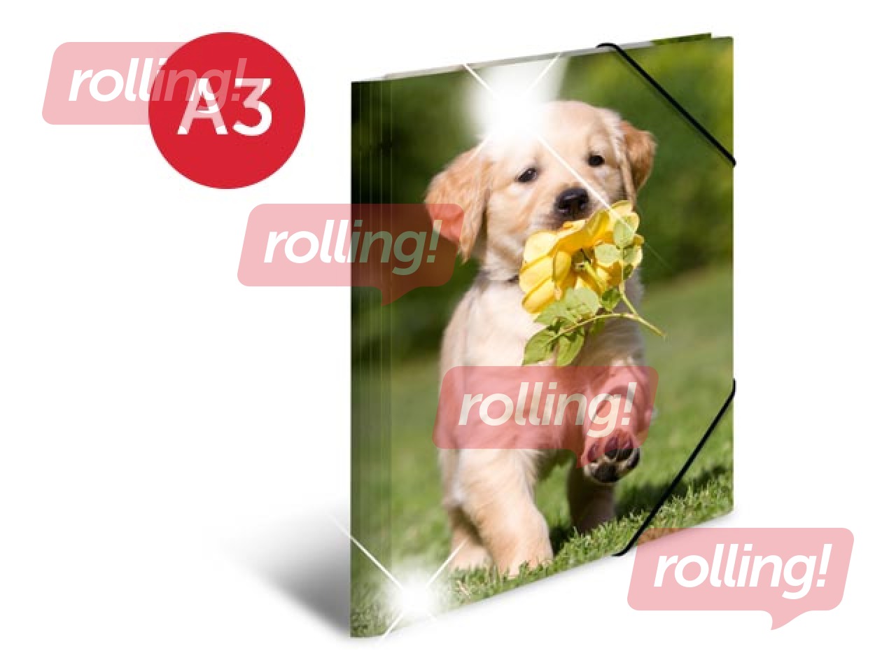 Kaust 3 klapi ja kummiga Herma, A3, PP, läikiv