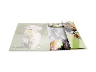 Kaust 3 klapi ja kummiga Herma, A3, PP, läikiv