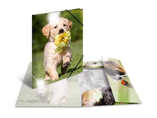 Папка с 3-мя клапанами и резинками Herma, A3, ПП, глянцевая 