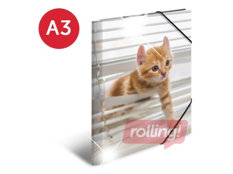 Kaust 3 klapi ja kummiga Herma, A3, PP, läikiv