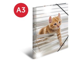 Kaust 3 klapi ja kummiga Herma, A3, PP, läikiv