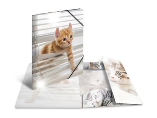 Kaust 3 klapi ja kummiga Herma, A3, PP, läikiv