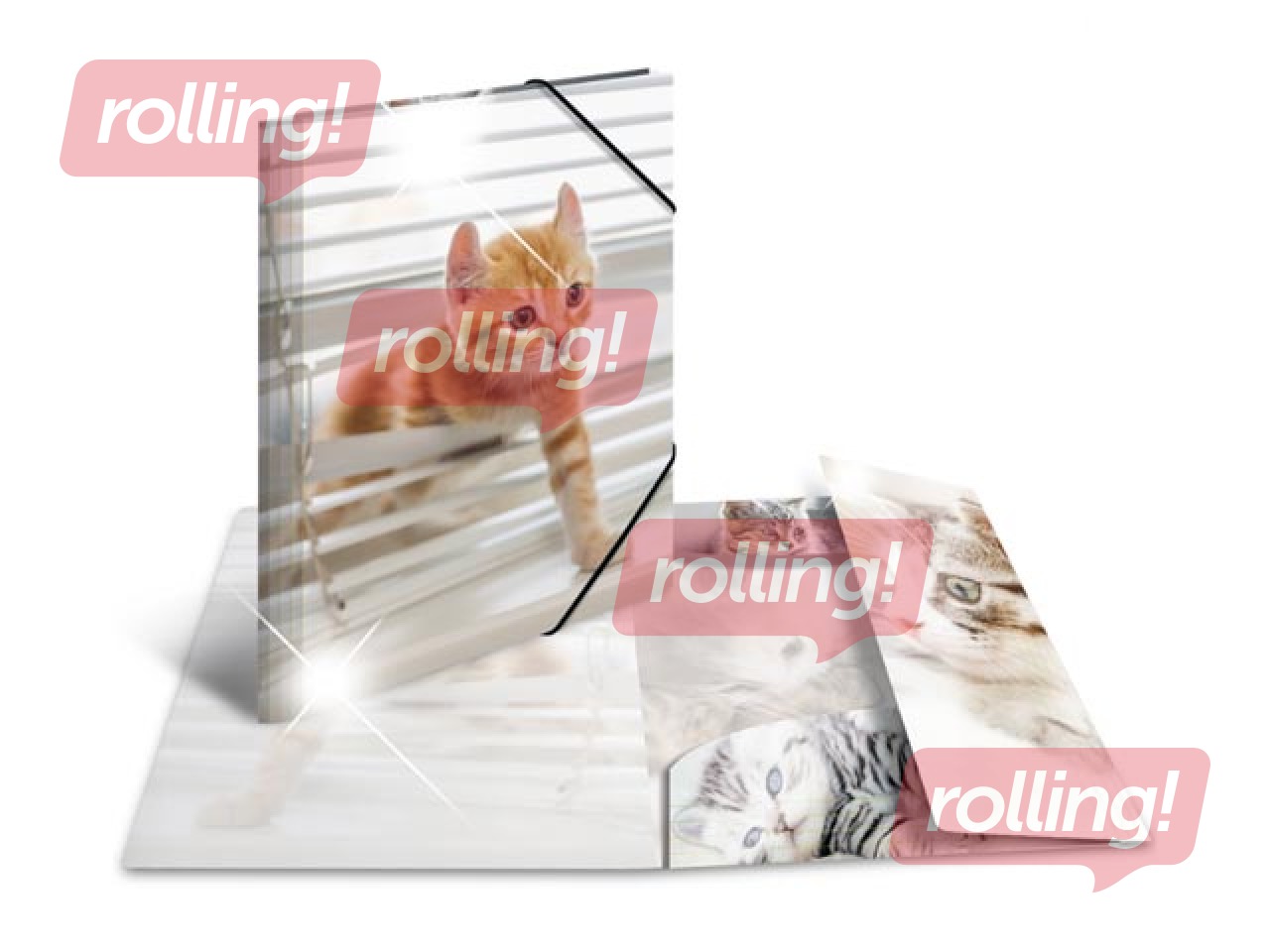 Kaust 3 klapi ja kummiga Herma, A3, PP, läikiv