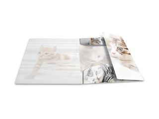 Kaust 3 klapi ja kummiga Herma, A3, PP, läikiv