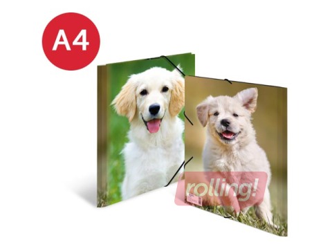 Kaust 3 klapi ja kummiga Herma, A4, PP