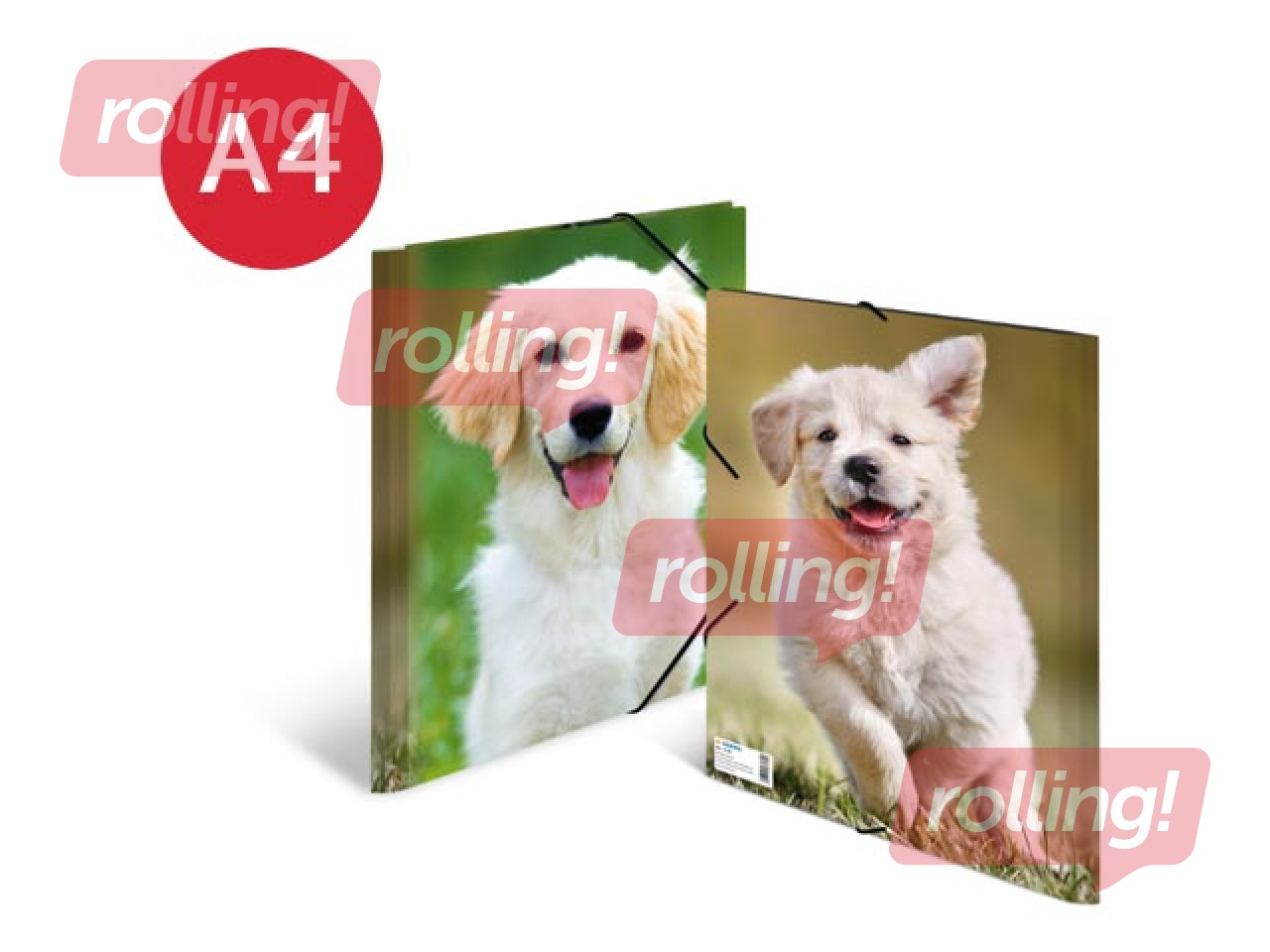 Kaust 3 klapi ja kummiga Herma, A4, PP